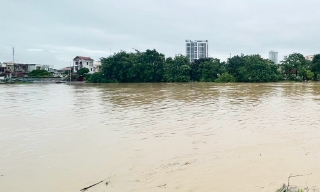 Bắc Ninh: Bảo đảm an toàn cho người dân sinh sống tại khu vực ngoài bãi sông Cầu và sông Thương sau bão số 10